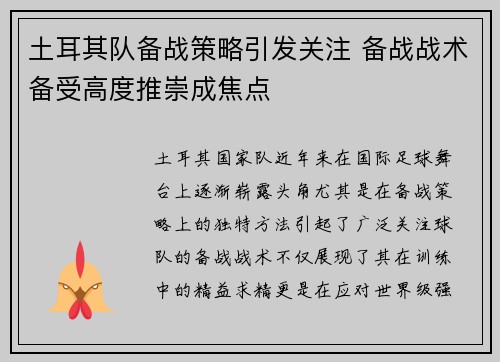 土耳其队备战策略引发关注 备战战术备受高度推崇成焦点